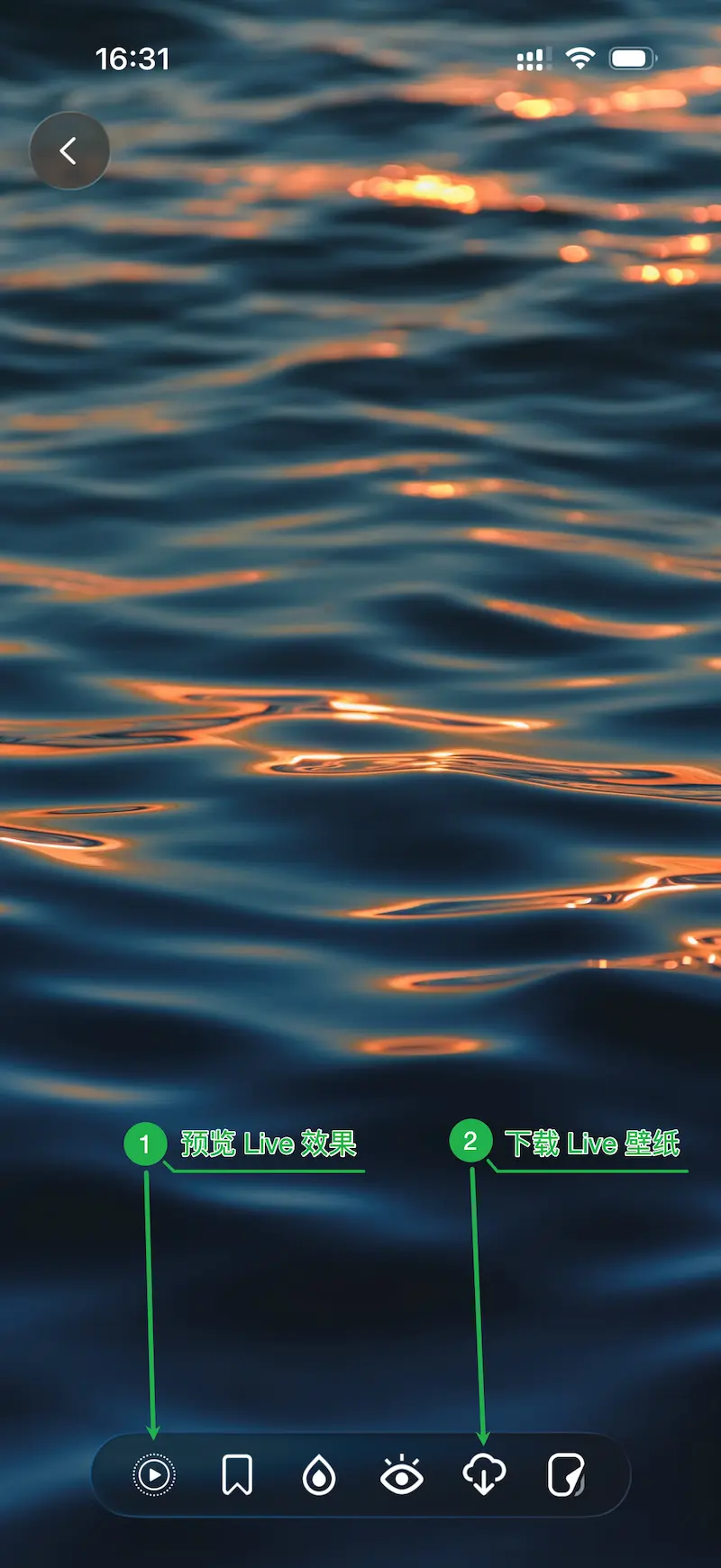 Cuto 라이브 배경화면 다운로드